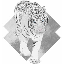 White Tiger. Traditional illustration, and Graphic Design project by Ferran Sirvent Diestre - 02.14.2015