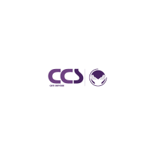 Diseño de logotipo y manual de identidad corporativa. CCS Care Serv. UK 2013. Un proyecto de Diseño gráfico de Pedro Guillermo Pérez Rocha - 19.02.2015