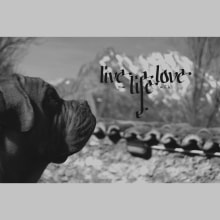 Live your Live with Love. T, pograph, and Writing project by Miguel Morán Honrado - 02.25.2015