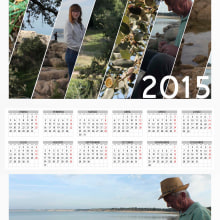 Calendarios 2015. Graphic Design project by Dana Catruna - 02.25.2015