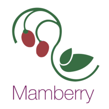 Mamberry · packaging. Direção de arte, e Packaging projeto de Alicia Carlos Olleta - 25.02.2015