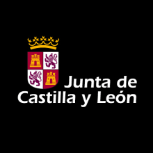 Junta de Castilla y León (Turismo). Un proyecto de Br e ing e Identidad de Alex G. Santana - 01.03.2015