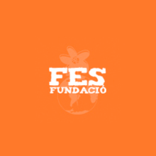 FesFundacio. Un proyecto de Diseño Web y Desarrollo Web de Víctor Ríos - 25.11.2014