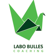 Coaching - Labobulles. Een project van Creatieve consultanc y Grafisch ontwerp van VIRGINIA HERMIDA LORENZO - 25.03.2015