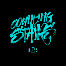 Bliss Wheel Co - Apparel. Graphic Design, T, pograph, and Calligraph project by Baimu Studio - 03.31.2015