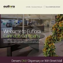 Euflora. UX / UI, Direção de arte, e Web Design projeto de Brian Colquhoun - 08.04.2015