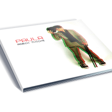 CD Cover: Paula - Robin Thicke. Un proyecto de Diseño, Publicidad, Música, Diseño gráfico y Tipografía de María Rogles - 14.04.2015