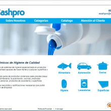Diseño web Washpro. Design, Web Design, and Web Development project by Victor Alvarez Rodriguez - 04.27.2015