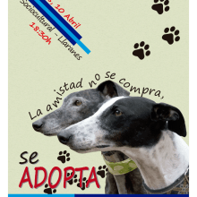 Cartel Amigos del Perro.. Design gráfico projeto de Jose Fernando Ceballos Castillo - 24.03.2015