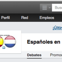 Linkedin - Grupo Españoles en Holanda. Un proyecto de Marketing de Alvaro Galindo Martinez - 09.02.2012