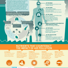 Infografía sobre como afecta la polución en la salud y como las vitaminas pueden mejorar nuestro estado.. Un proyecto de Diseño y Diseño de la información de Alfonso Panduro - 10.05.2015