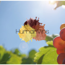 Identidad Corporativa HumanVins. Un proyecto de Fotografía, Br, ing e Identidad, Diseño editorial y Diseño gráfico de Neus Baidal Villada - 04.08.2014