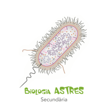 BIOLOGÍA Y GEOLOGÍA ASTRES. Editorial Design, and Multimedia project by Xiduca - 05.26.2015
