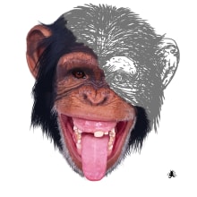 chimpance. Photoshop brushes.. Traditional illustration project by Camila Bernal - 05.26.2015