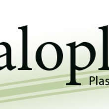 Caloplast S.L.. Br, ing, Identit, Graphic Design, Web Design, and Web Development project by Eric Carreras-Candi - 02.28.2010