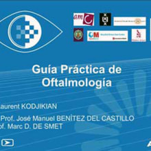 Guía Práctica de Oftalmología. Projekt z dziedziny  Motion graphics, Programowanie, Informat, ka,  Animacja, Projektowanie graficzne, Multimedia i Pisanie użytkownika Eric Carreras-Candi - 31.10.2009