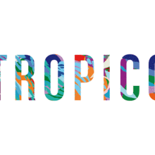 Tropico. Un proyecto de Ilustración tradicional y Diseño gráfico de Carmen Gómez Pablos - 07.06.2015
