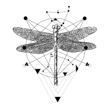 Dragonfly. Design projeto de Srta.Baron - 24.07.2015