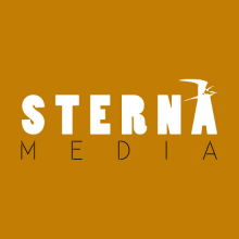 Branding e Identidad Sterna Media. Br, ing, Identit, Design Management, Graphic Design & Information Design project by Víctor de Vicente - 08.30.2015