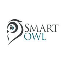 Smart Owl Logo. Direção de arte projeto de Garrote Carlos - 01.09.2015