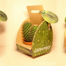 Cactus Packaging. Design, Publicidade, Design gráfico, e Design de produtos projeto de Lourdes casas muñoz - 01.09.2015