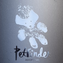 PetFinder. Un proyecto de Br, ing e Identidad y Diseño gráfico de Ingrida Vilkas - 15.09.2015