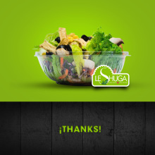 BRANDING LESHUGA FUSION SALADS. Design, Photograph, Art Direction, Br, ing & Identit project by quikecastillo - 10.08.2015