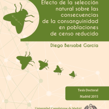 Tesis doctoral. Un proyecto de Educación de M.A. Serralvo - 05.02.2015