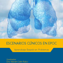 Escenarios Clínicos en EPOC. Un proyecto de Diseño gráfico de M.A. Serralvo - 02.12.2013