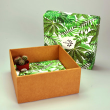 5-9 Cacti Pack. Packaging projeto de Miren Camara Egaña - 01.08.2015