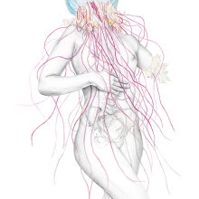 Jellyfish IV. Ilustração tradicional, Publicidade, Artes plásticas, e Pintura projeto de Elisa Ancori - 18.10.2015