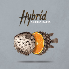 "Hybrid" album cover for Barrio París. Ilustração tradicional, Direção de arte, e Design gráfico projeto de Yeray Vega Fernandez de Labastida - 05.11.2015