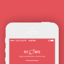 Pet Date. UX / UI, Graphic Design, Information Architecture & Interactive Design project by Angeles Koiman - 12.05.2015