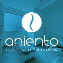 Rebranding Aniento. Un proyecto de Br, ing e Identidad, Diseño gráfico y Diseño Web de Ana Mareca Miralles - 11.09.2015