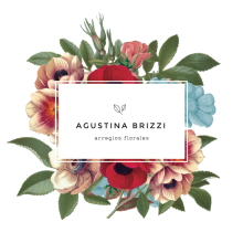 Branding / Agustina Brizzi. Graphic Design, and Web Design project by Milagros Bianchetti - 01.25.2016