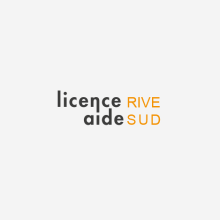 Licence aide. Br, ing, Identit, and Graphic Design project by Marjorie - 05.19.2014