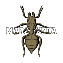 MARABUNTA, for Nomada Brewing. Ilustração tradicional, Design gráfico, e Packaging projeto de Yeray Vega Fernandez de Labastida - 06.02.2016