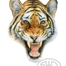 Tigre. Un progetto di Illustrazione tradizionale di Fernando Garrido Rubio - 07.02.2016