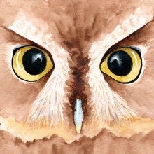 Watercolor Owl. Un proyecto de Ilustración tradicional, Artesanía, Bellas Artes y Pintura de Núria Galceran - 15.02.2016