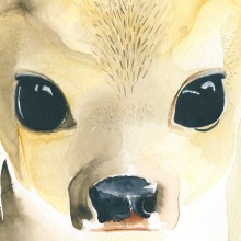 Little Deer. Ilustração tradicional, Artesanato, Artes plásticas, e Pintura projeto de Núria Galceran - 15.02.2016