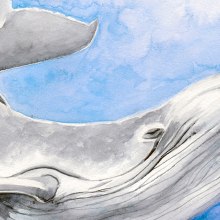 Watercolor Whale. Un proyecto de Ilustración tradicional, Artesanía, Bellas Artes y Pintura de Núria Galceran - 16.02.2016