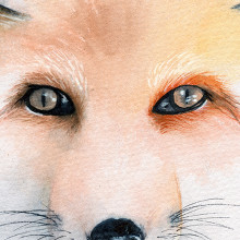 Watercolor Fox. Un proyecto de Ilustración tradicional, Artesanía, Bellas Artes y Pintura de Núria Galceran - 16.02.2016