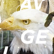 Savage Land. Graphic Design project by sergi nadal - 02.21.2016