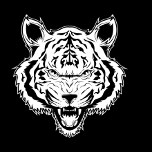 white tiger. Traditional illustration project by Alex Castaño - 02.23.2016