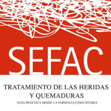 SEFAC: Guía de antisepsia. Editorial Design project by Astrid Vilela - 09.09.2010