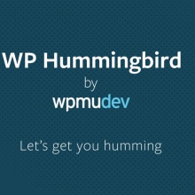 WP Hummingbird. Desenvolvimento Web projeto de Ignacio Cruz Moreno - 14.02.2016