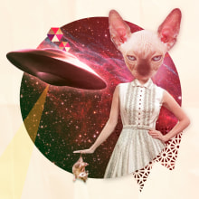Collage retro, psychedelic cat. Design gráfico, e Colagem projeto de Diana Armisén Gracía-Santamarina - 08.03.2016