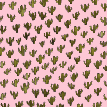 Cactus everywhere. . Traditional illustration, and Graphic Design project by moon_illustrator - 03.15.2016