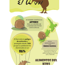 El Kiwi. Traditional illustration, Character Design, Editorial Design, Education & Infographics project by Clara Sánchez-Aguilera - 03.27.2016