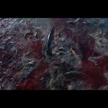 Exodus: Gods and Kings. Un proyecto de 3D y VFX de Xuan Prada - 04.04.2016